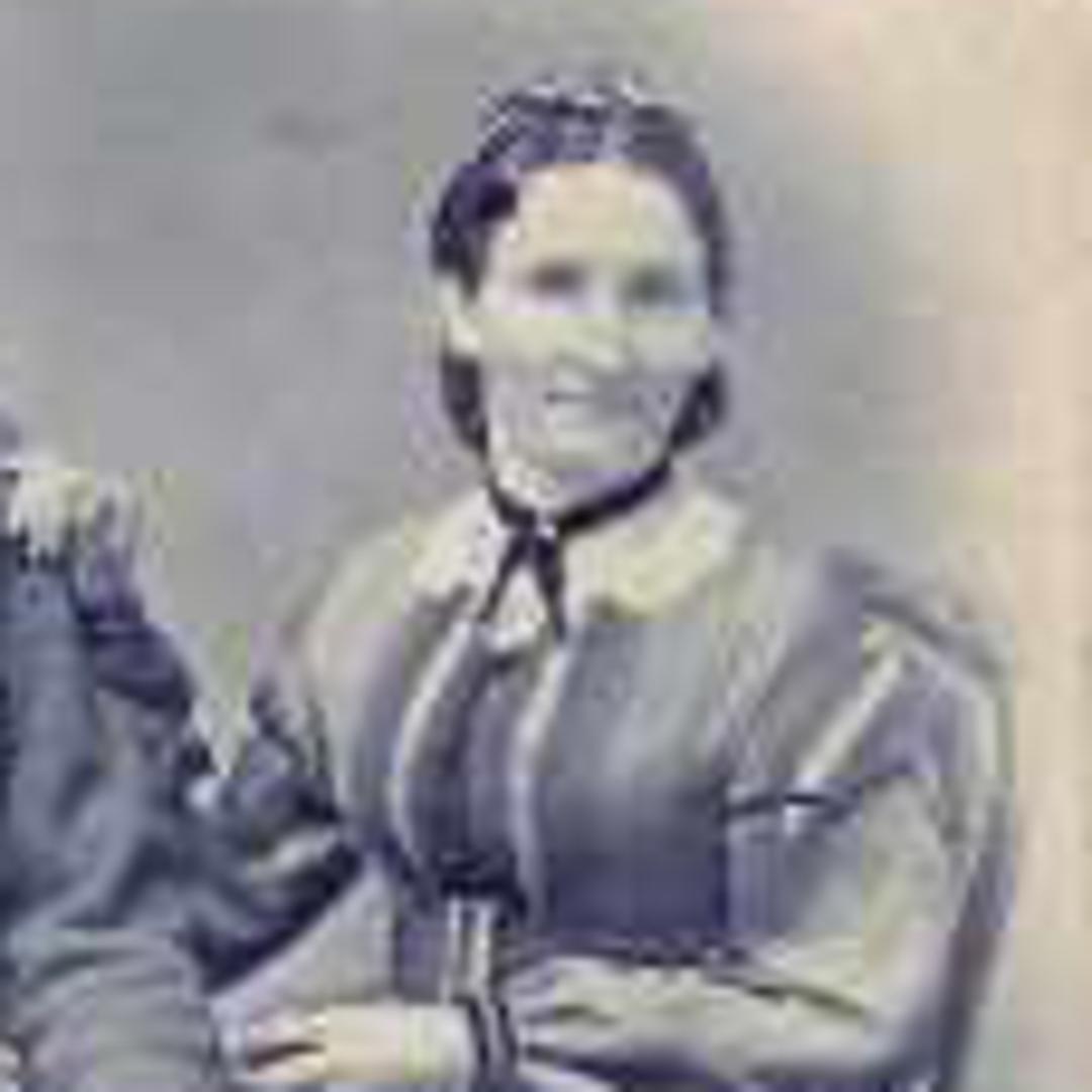 Sarah Louisa Fausett (1835 - 1915) Profile